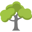 Fairhope Tree Removal
