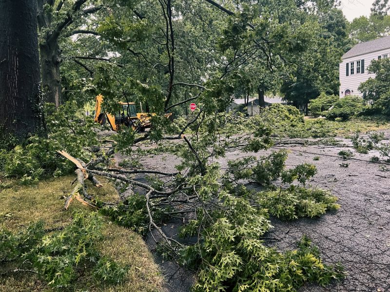 Storm Damage Assistance